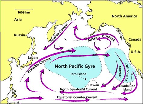 North Pacific Current Map