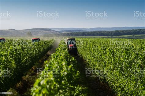 Red Tractors Working In The Vineyard Stock Photo Download Image Now