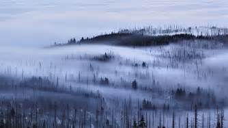 Cloud Forest Landscape Photos Of The Misty Czech Bohemian Forest By