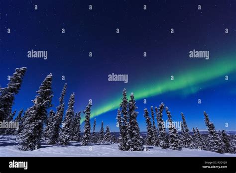 Aurora Borealis Northern Lights Near Fairbanks Alaska Stock Photo Alamy