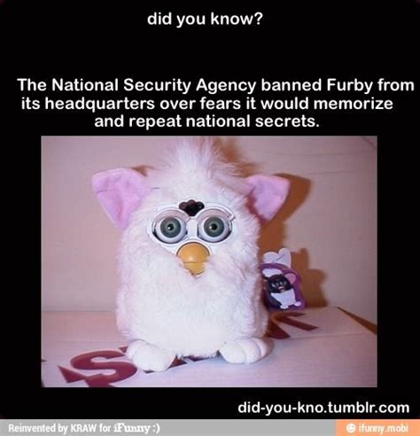 Dangerous Furby Ifunny Furby Funny Memes Wtf Fun Facts