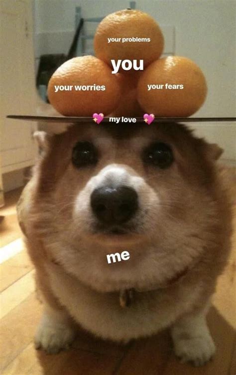 49 Cute Wholesome Memes To Share With Your Loved Ones Cute Love