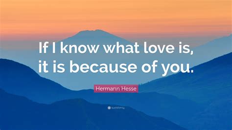 Hermann Hesse Quote: 