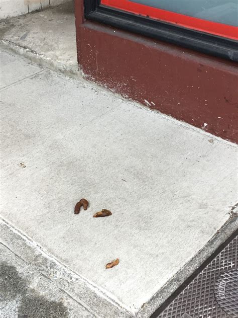 Human Poop On The Floor