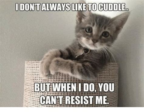 25 Cutest Cuddle Memes Funny Animal Memes