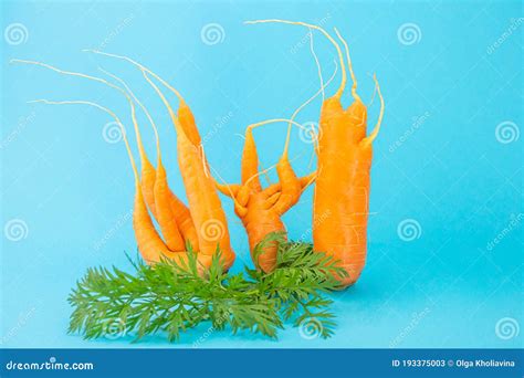 Strange Funny Shaped Carrots On A Blue Background Stock Image Image Of Unusual Carrot 193375003