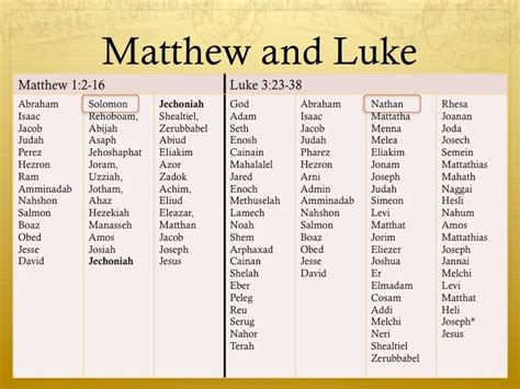 Line Of King David Women Journeying Through The Bible Gospel Of Luke Read Bible