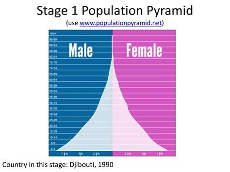 Stages Of Population Pyramid