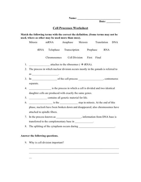 Cell division and mitosis worksheet. Cell wikki worksheet