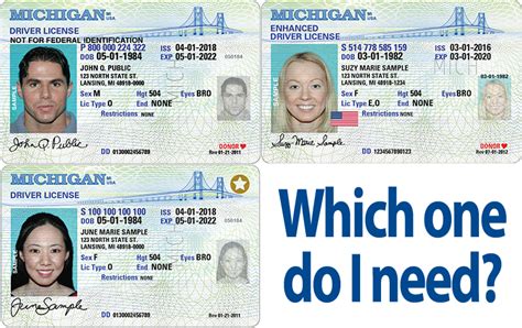 Which One Do I Need Standard Enhanced And Real Id Compliant Michigan