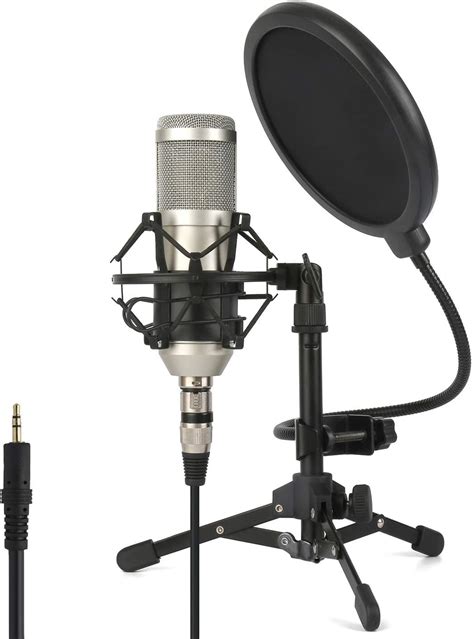 Zingyou Condenser Microphone Zy 801 Professional Studio Microphone