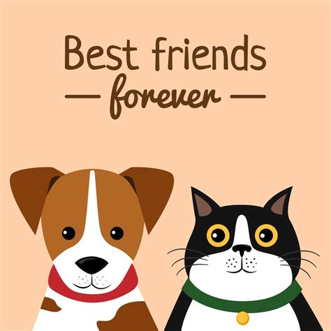 Cat Dog Characters Best Friend Forever Best Dog Cat Forever