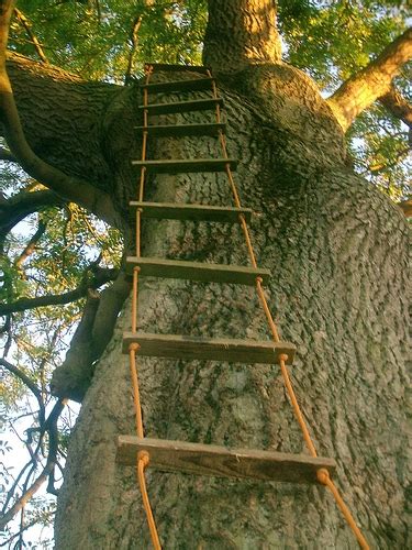 How To Make A Rope Ladder Gone Outdoors Your Adventure Awaits