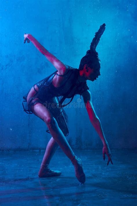 Bailarina Molhada Na Dan A Sexy Lingerie Foto De Stock Imagem De Preto Elegante