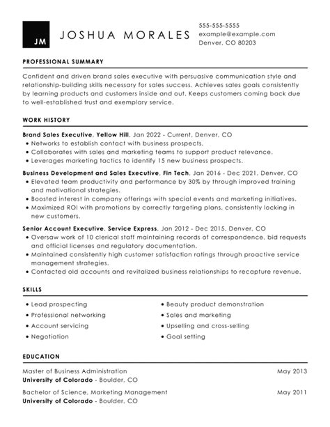 Executive Resume Examples And Writing Tips For 2023