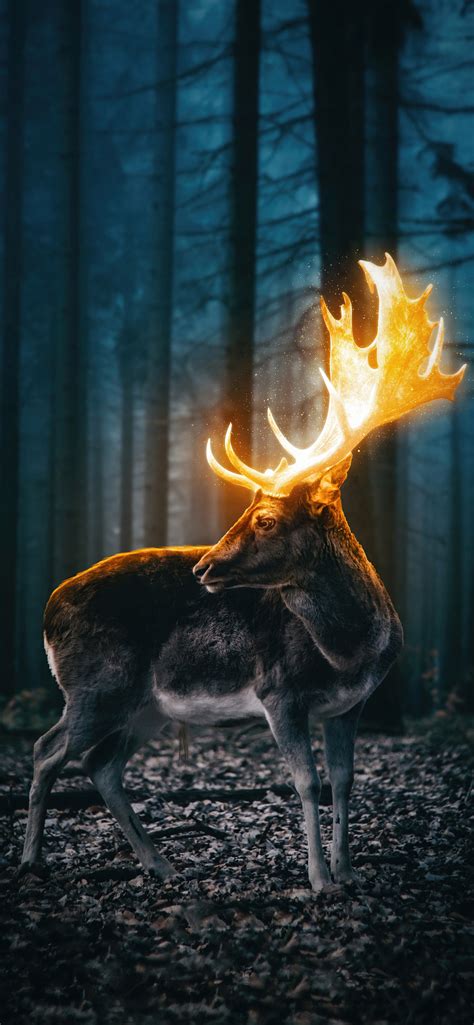 1242x2688 Magical Reindeer Forest 5k Iphone Xs Max Hd 4k Wallpapers