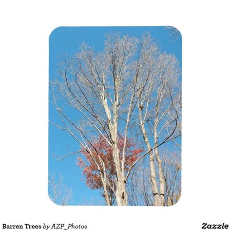 Our free coloring pages for adults and kids, range from star wars to mickey mouse. Barren Trees Magnet | Zazzle.com in 2020 | Magnets ...