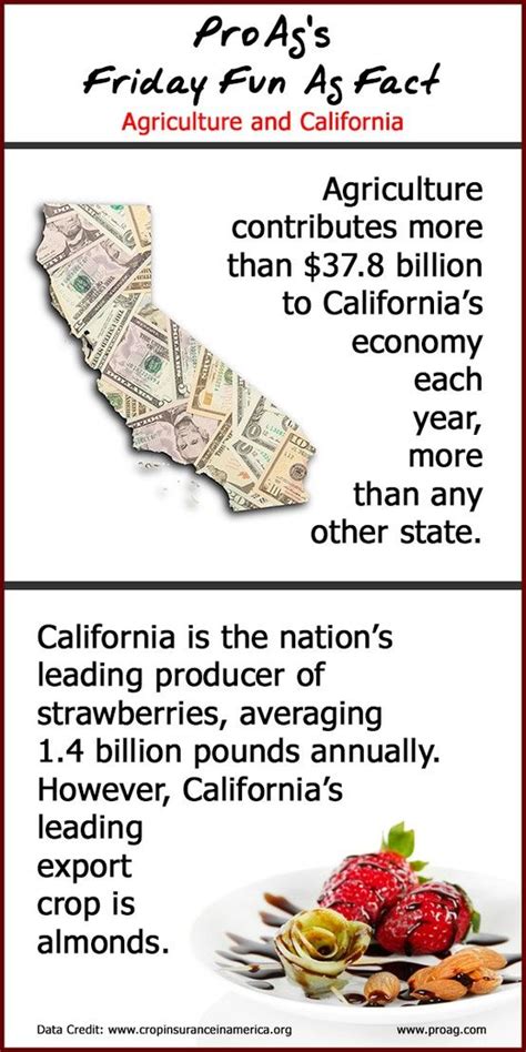 Funny, weird & unusual edition! Friday Fun Ag Fact: Agriculture & California - Check out ProAg®'s latest infographic for this ...