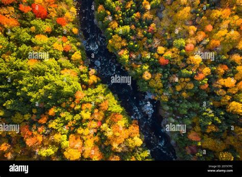 Aerial View Of Winding River Through Autumn Trees With Fall Colors In