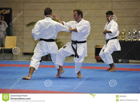 Karate kumite is the application of kata: Karate, European Master Cup, Kata Bunkai Editorial Stock Image - Image of germany, bunkai: 20652894