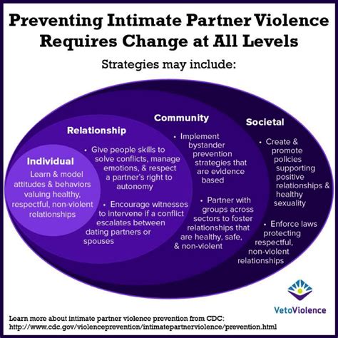 Violence Prevention Basics The Social Ecological Model Vetoviolence