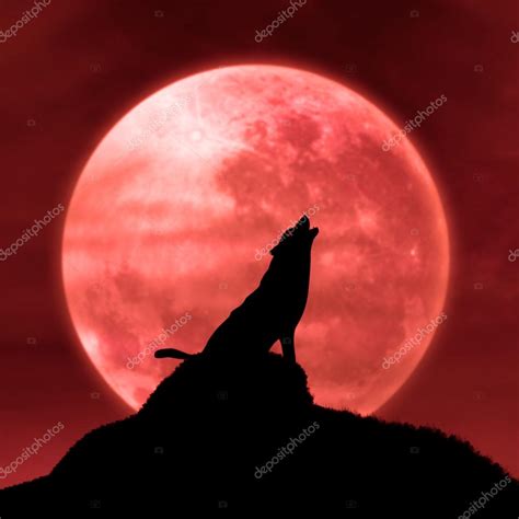 Red Wolf Howling At Moon