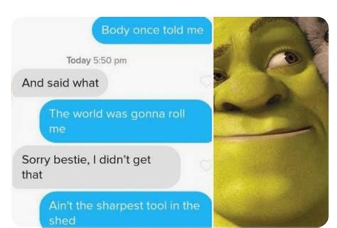 The Best Shrek Memes Memedroid