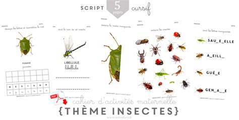 Livres Et Activités Sur Les Insectes Et Autres Petites Bêtes En