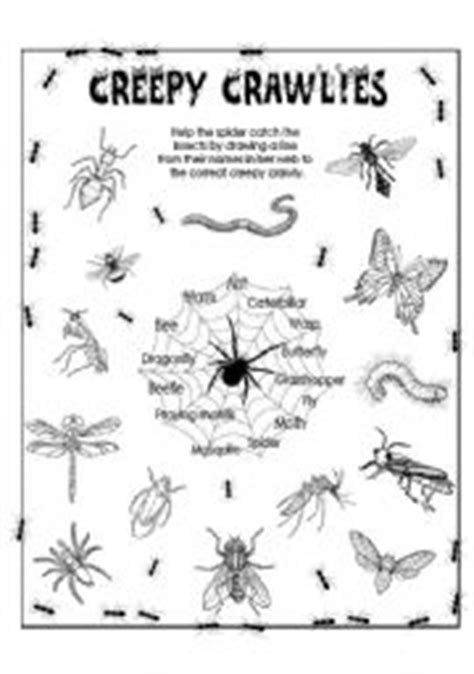 Coloring is also a great way to keep the kids busy and engaged, and provide some quiet time for everyone. English worksheet: Creepy Crawlies (Insects)