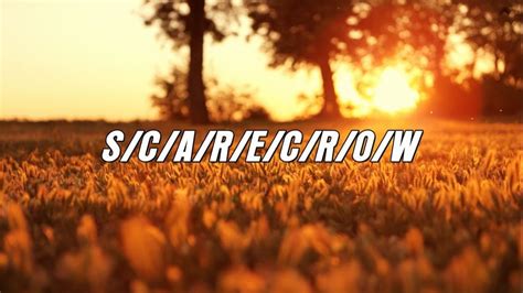 Scarecrow My Chemical Romance Lyric Video Youtube