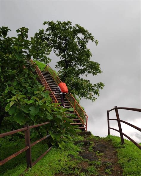 Sudhagad Fort Complete Trekking Guide Nomads Of India