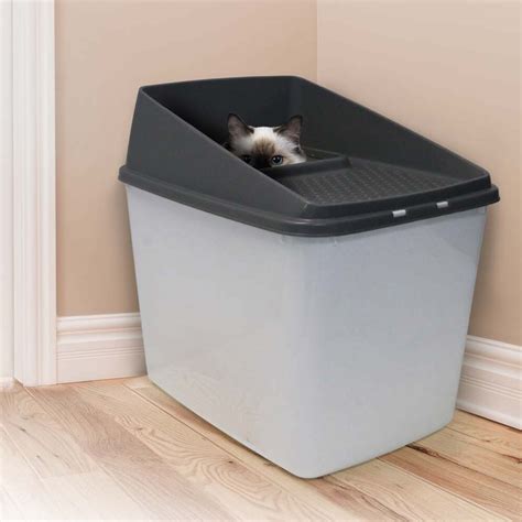 Diy Cat Litter Box Top Entry Cat Meme Stock Pictures And Photos