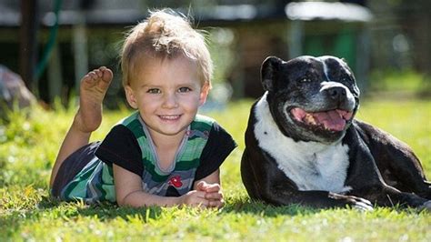 Cet Enfant A été Sauvé De La Noyade Par Une Chienne