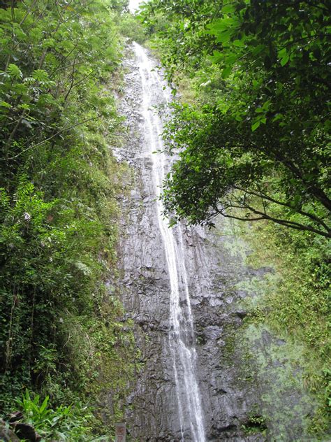 Manoa Falls Vacation Plan Hawaii Favorite Places