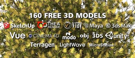 160 Plants From Models With Textures Xfrog Free Download Unity Vray