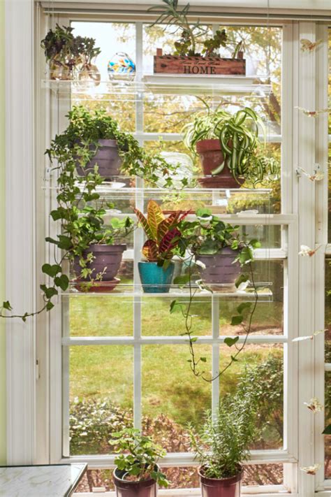 Window Plant Shelf Hanging Plants Indoor Window Herb Garden Window