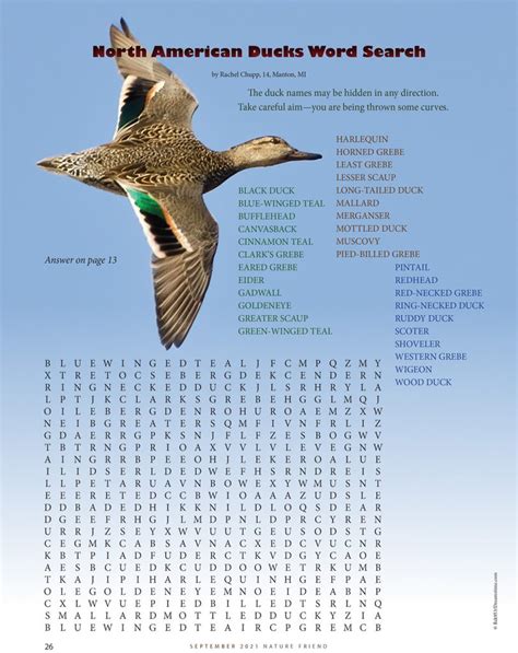 North American Ducks Word Search September 2021 Nature Friend Magazine
