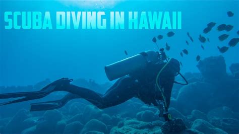 swimming with the sea turtles in kauai hawaii vlog 160 youtube