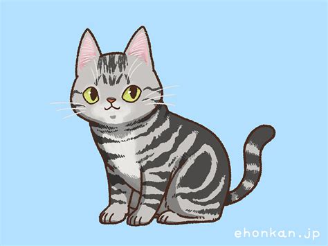 Download 新作絵本 いろんな猫 どれくらい知ってる 可愛いイラスト Images For Free