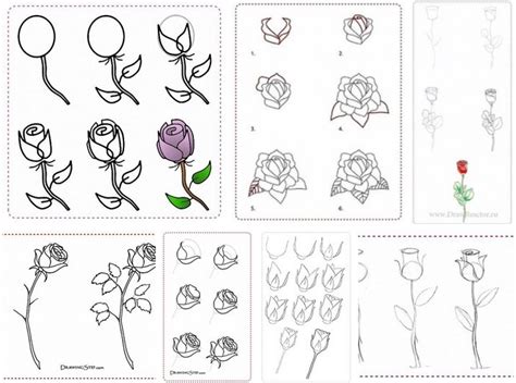 How do draw flowers step by step? How to draw rose flowers step by step DIY tutorial ...