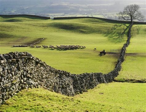 The Queens English On Instagram Dry Stone Walls Yorkshire Dales