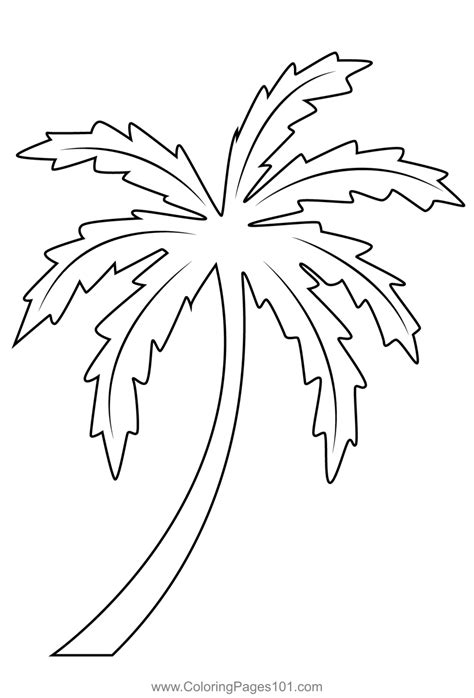 Simple Palm Tree Coloring Page For Kids Free Trees Printable Coloring