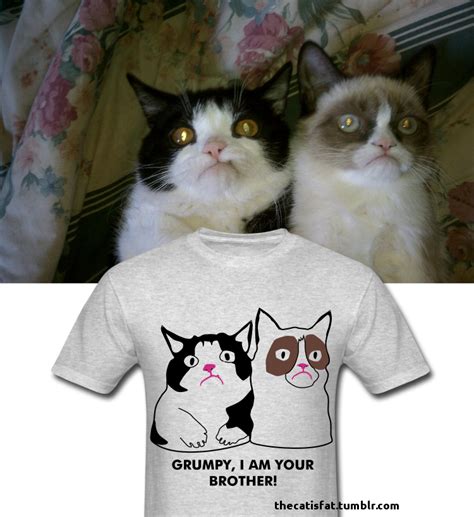 Pokey Tard Tee Grumpy Cat Know Your Meme