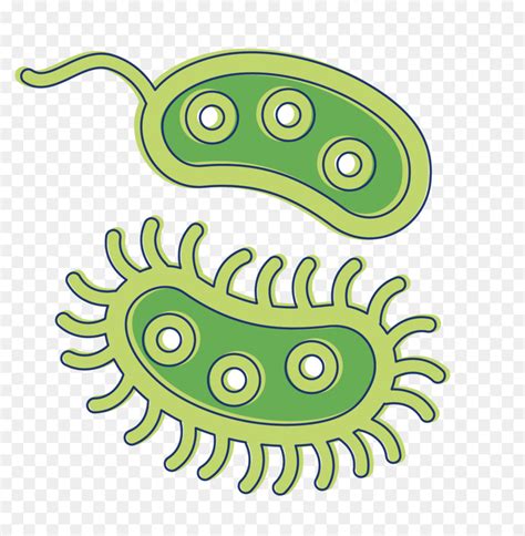 Free Bacteria Cliparts Green Download Free Bacteria Cliparts Green Png