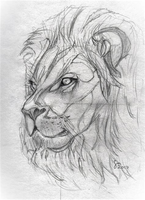 Desenho Leão Rascunho Pencil Drawings Of Animals Sketchbook Drawings