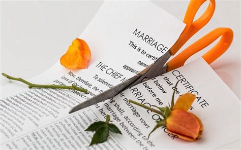 Wife Seeks Divorce Because Of Her Romantic Husband