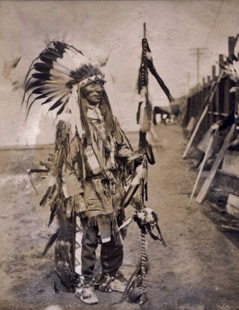 12 Yellow Hair Ideas Native American History Native American Indians
