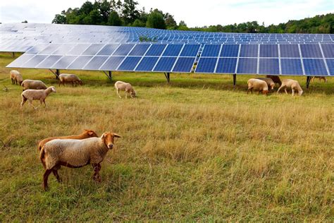 Solar Panels For Farms And Agriculture Solar Alliance Energy