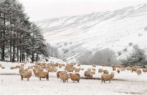 Snow Heavy Rain And Strong Winds The Latest Weather Warning For