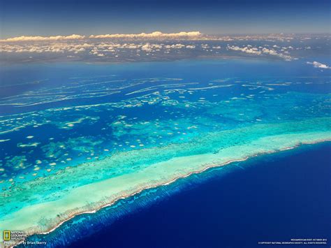 Aerial View Of Belize Barrier Reef